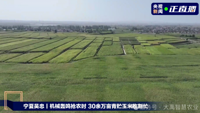 媒體聚焦 | 大禹節水以智慧農業技術，為 30 萬畝青貯玉米豐收 “添動力”